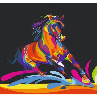 Набор Радужный Конь А3