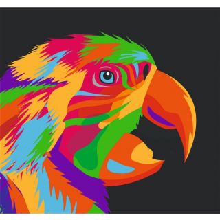 Набор Радужный Попугай А3